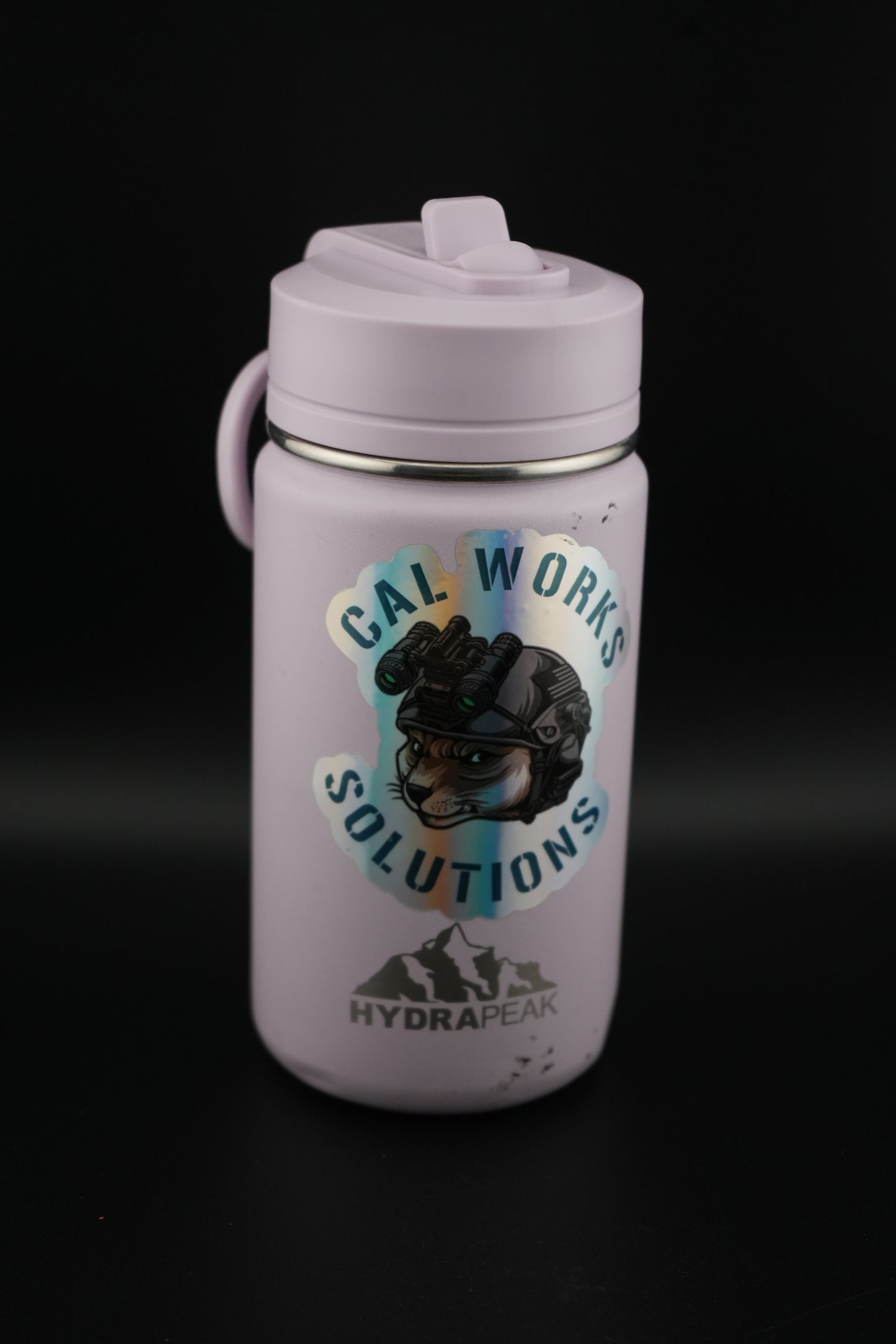 CWS Sticker